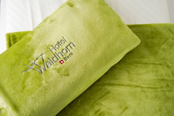 Waldhorn Hotel